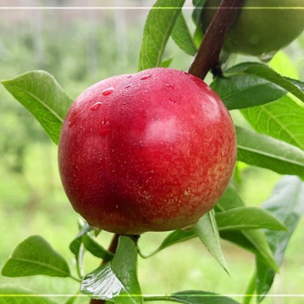 1720427349 thumbnail