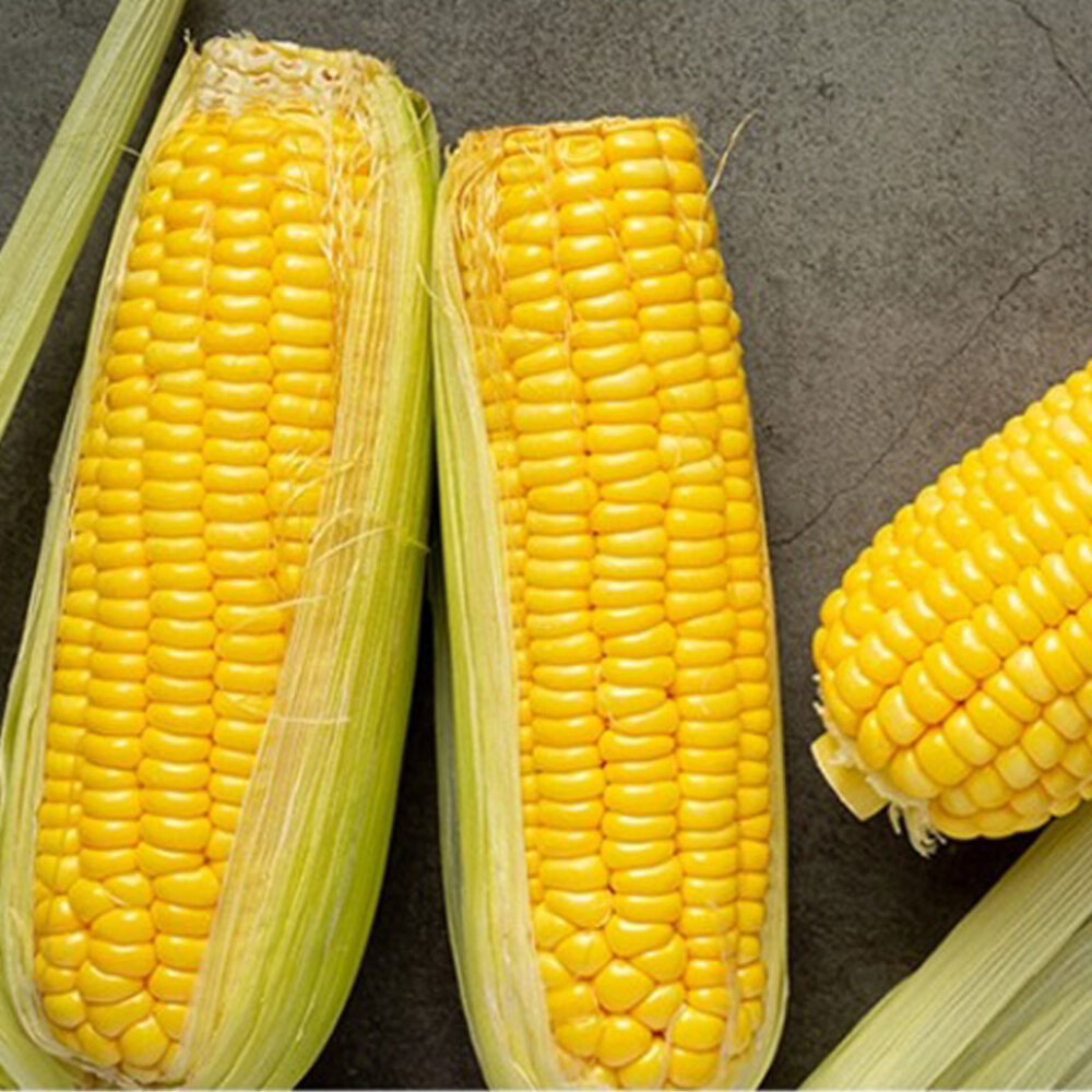 1720427352 thumbnail