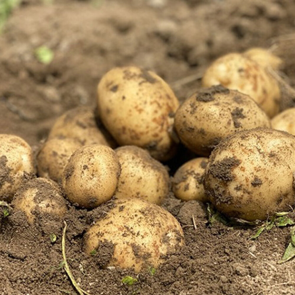 1720427357 thumbnail