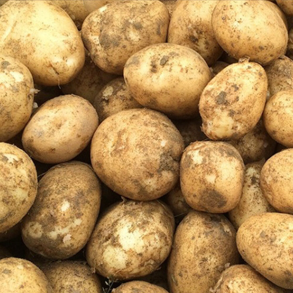 1720427366 thumbnail