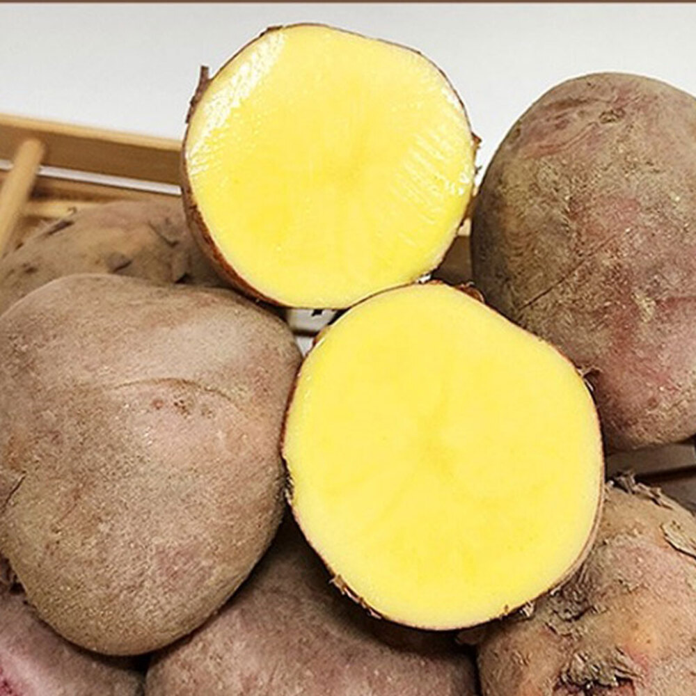 1720427377 thumbnail