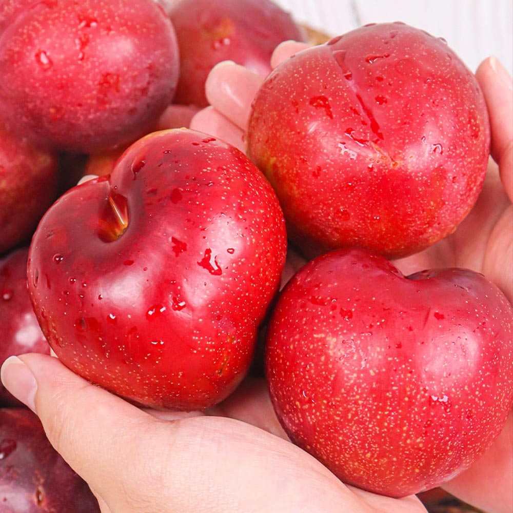 1720499008 thumbnail