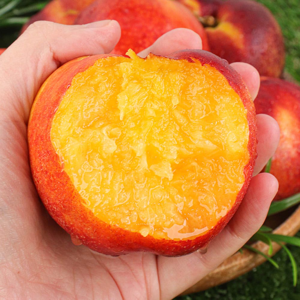 1720499012 thumbnail