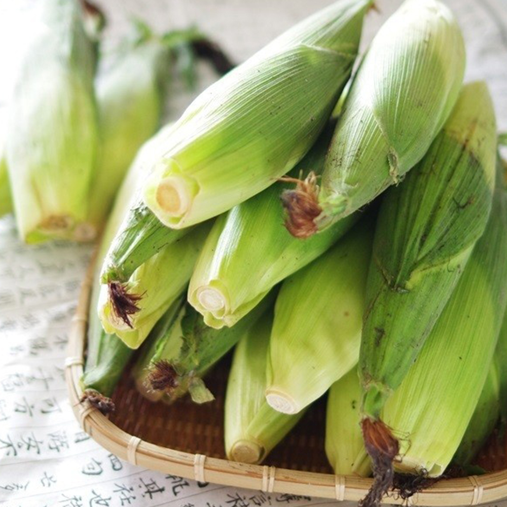 1720515848 thumbnail