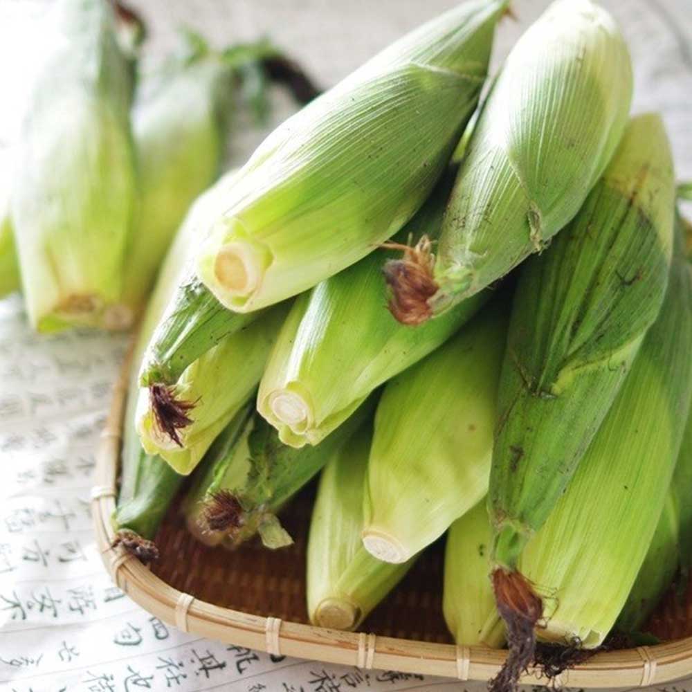 1720688355 thumbnail