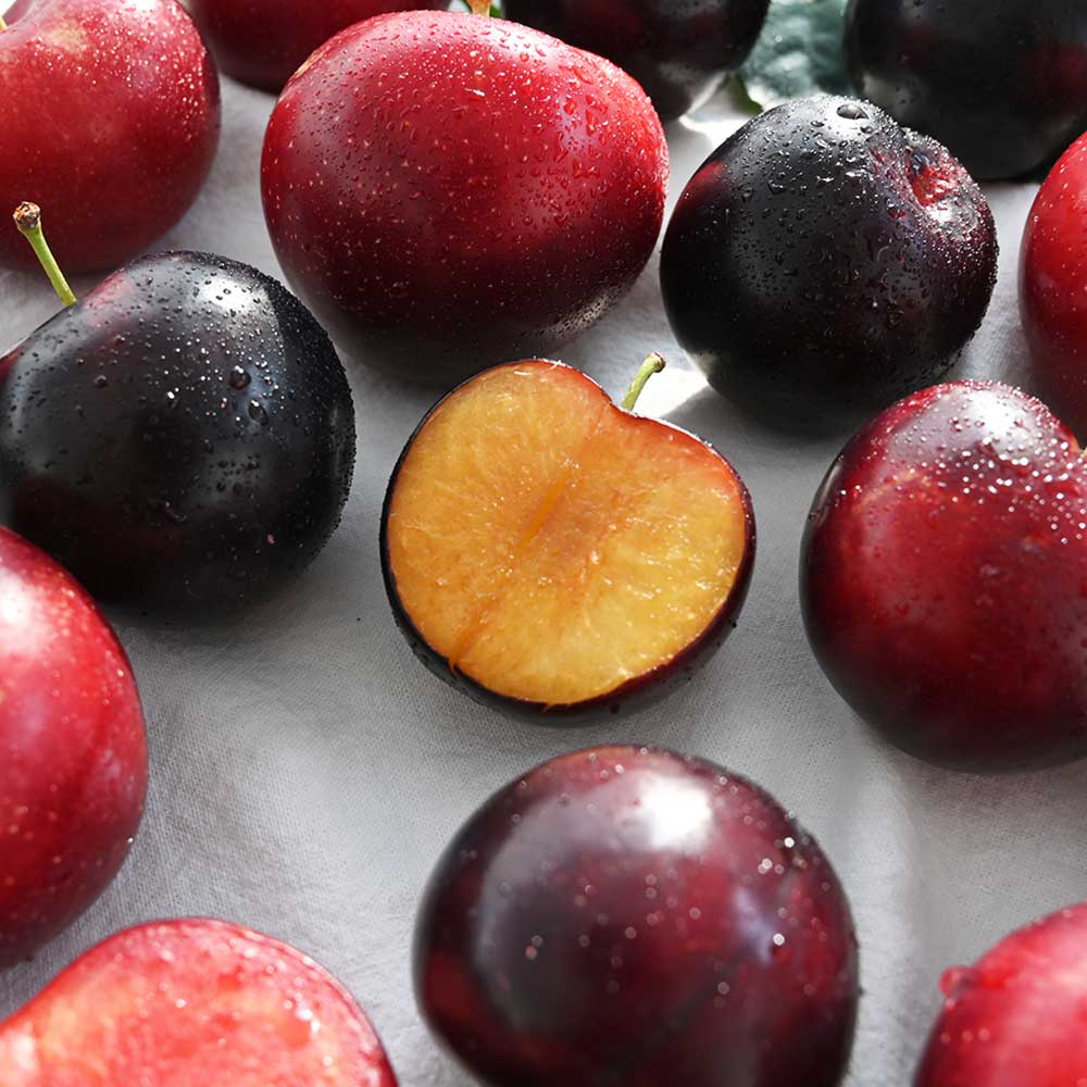 1720688356 thumbnail