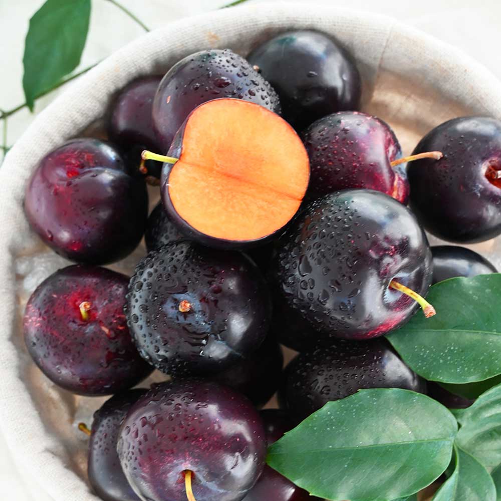 1720688357 thumbnail