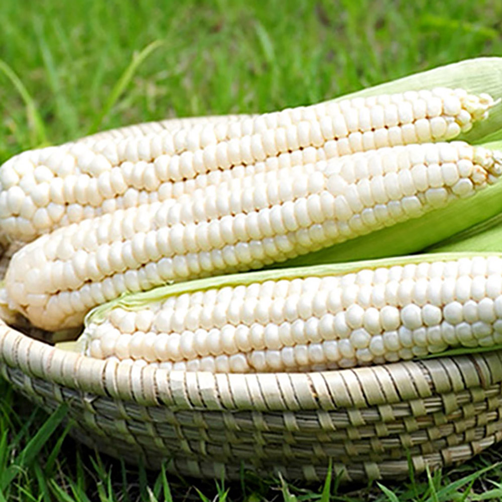 1720760469 thumbnail