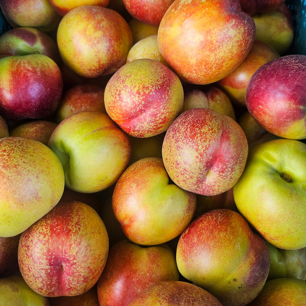 1720760482 thumbnail