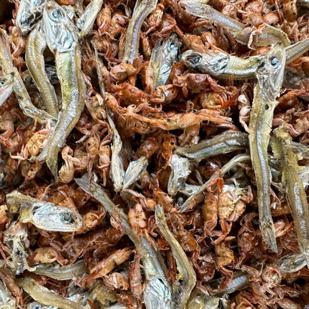 1721019193 thumbnail