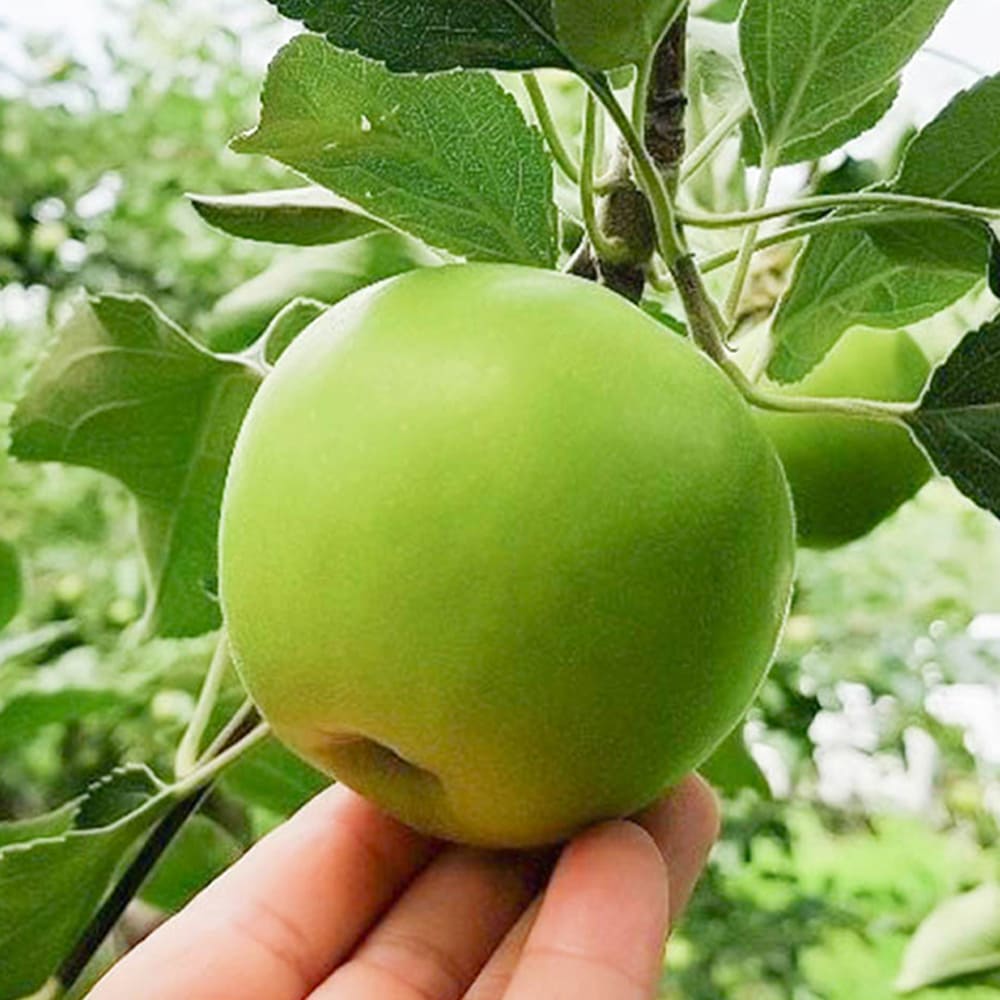 1721020501 thumbnail