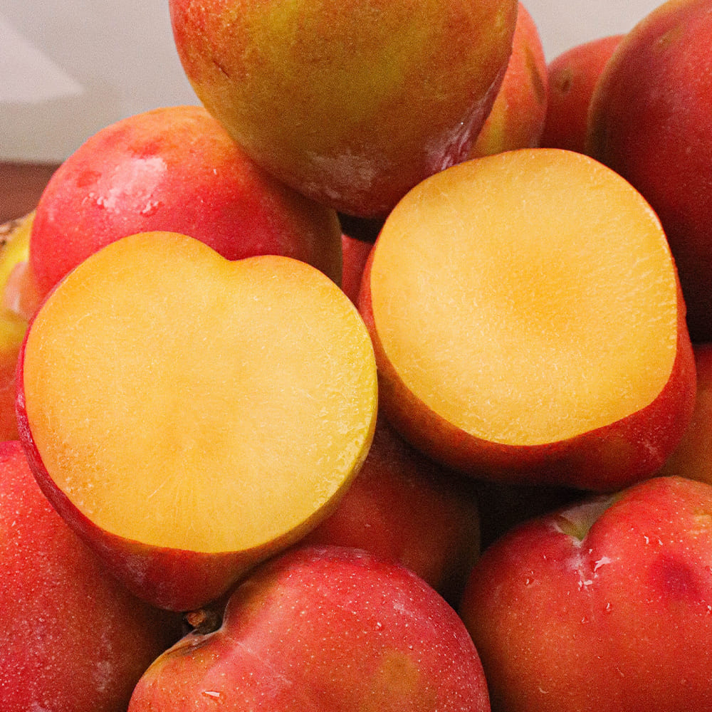 1721020510 thumbnail