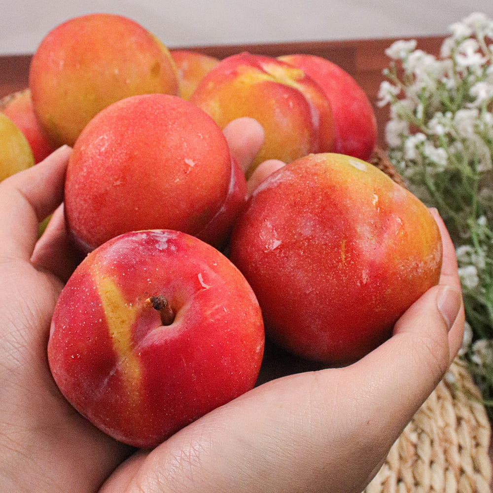 1721020511 thumbnail