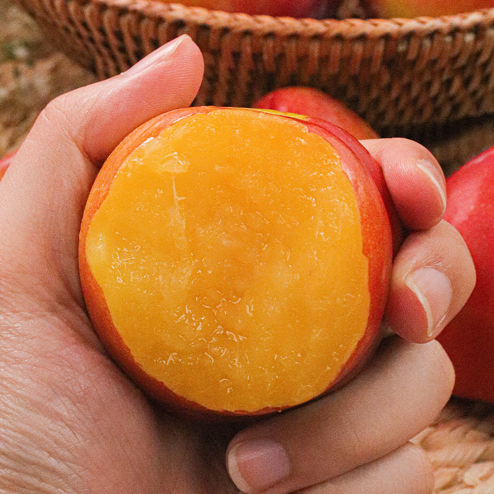 1721020512 thumbnail