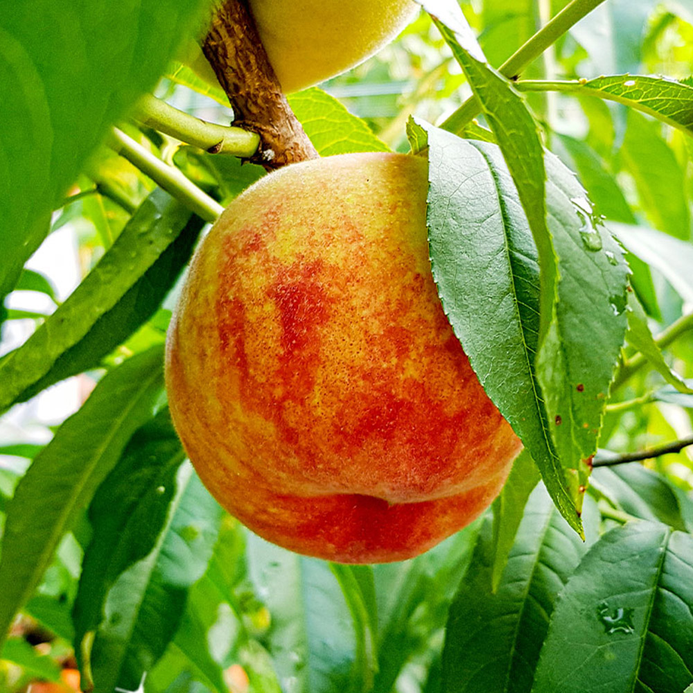 1721020513 thumbnail