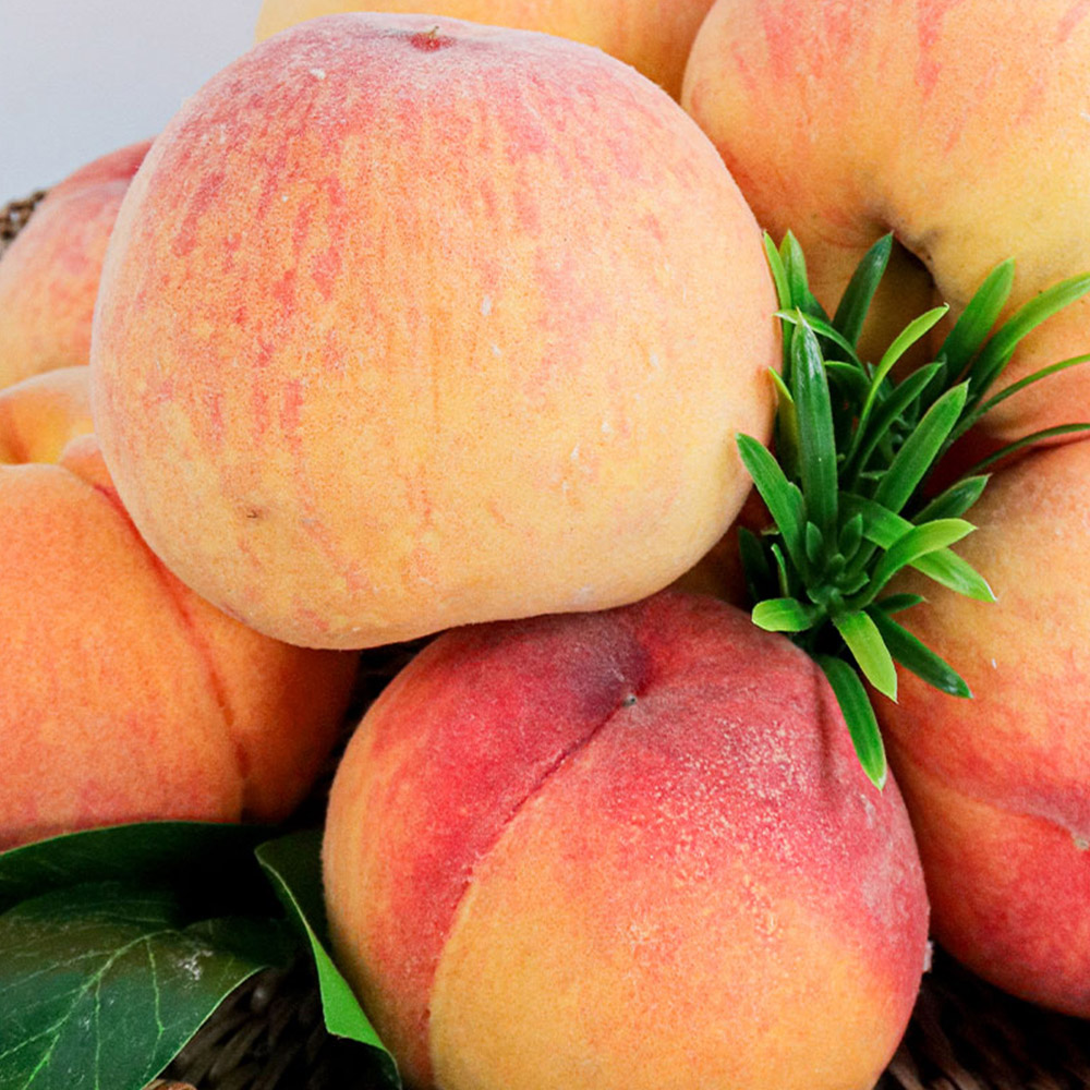 1721020519 thumbnail