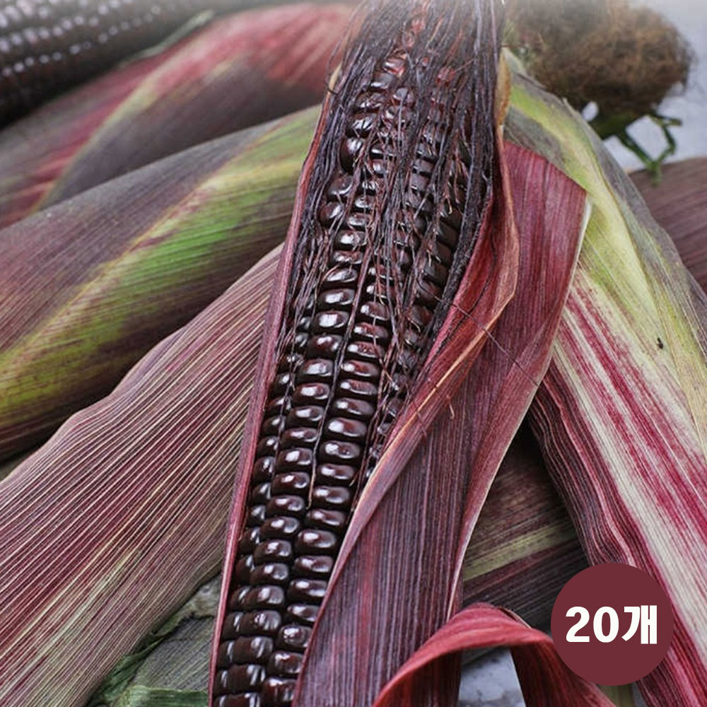 1721203696 thumbnail