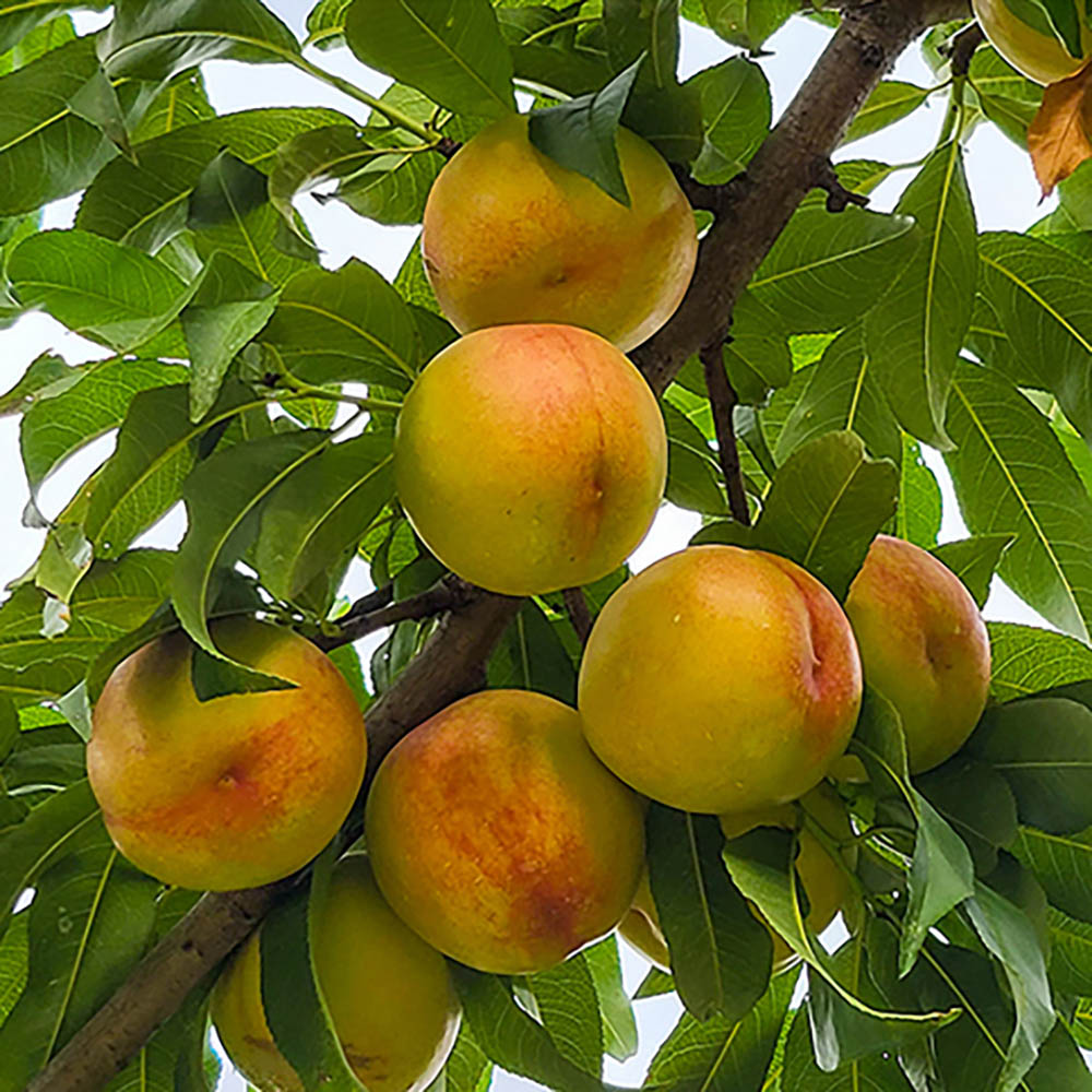 1721290733 thumbnail