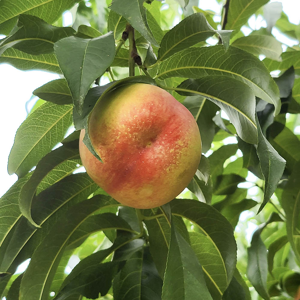 1721290734 thumbnail