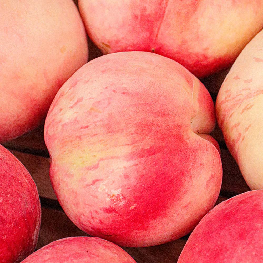 1721786900 thumbnail