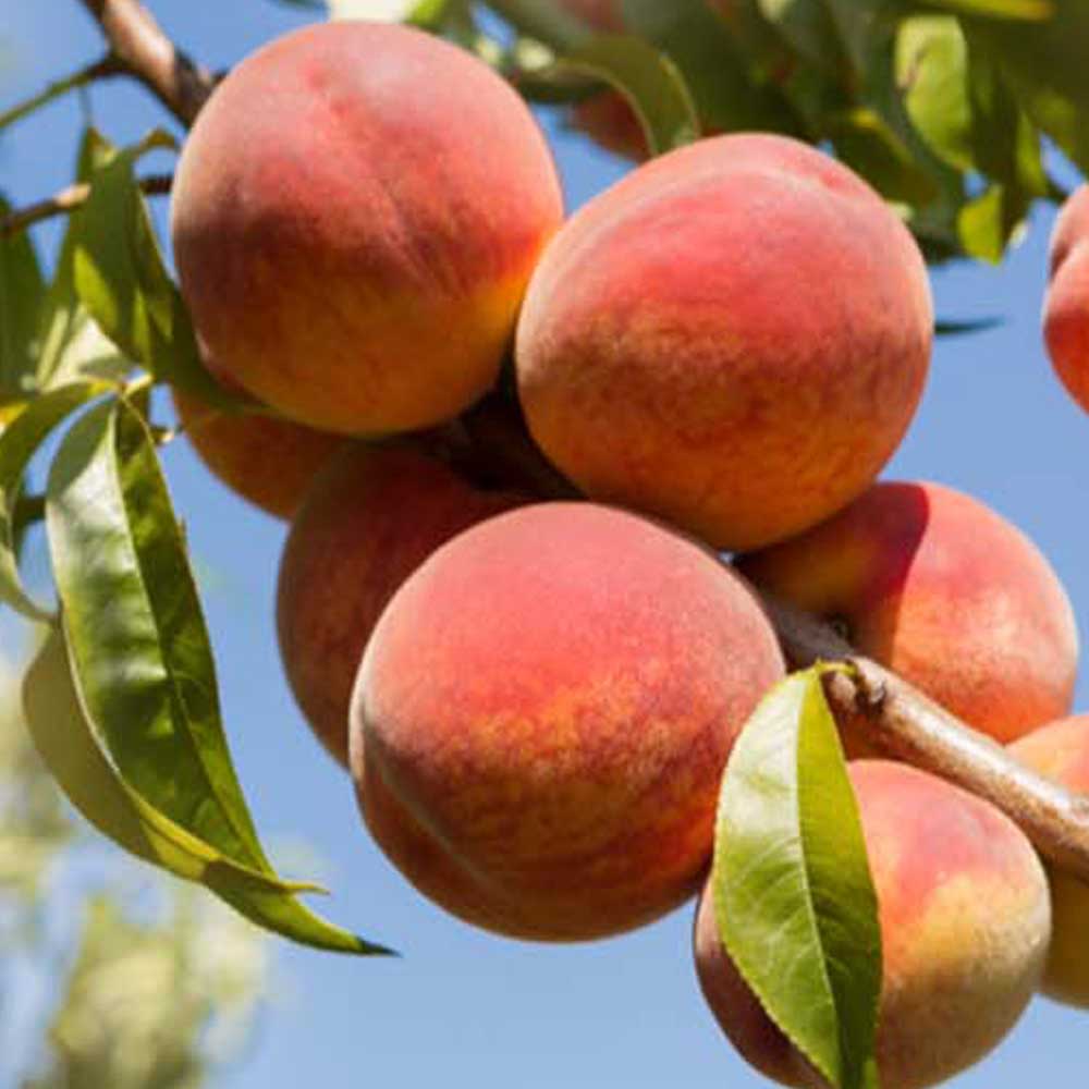 1721805390 thumbnail