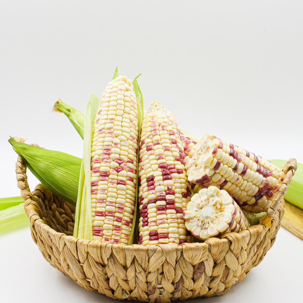 1721972622 thumbnail