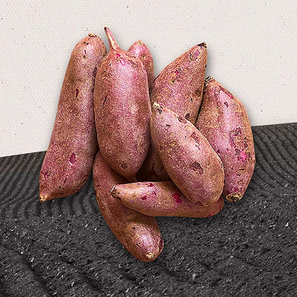 1722396243 thumbnail