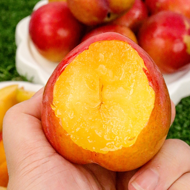 1722396258 thumbnail