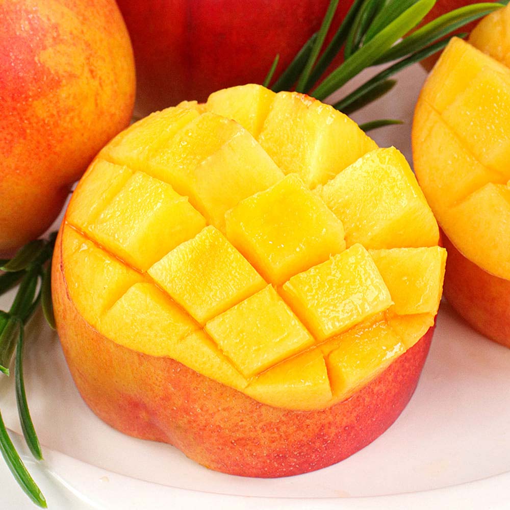 1722396266 thumbnail