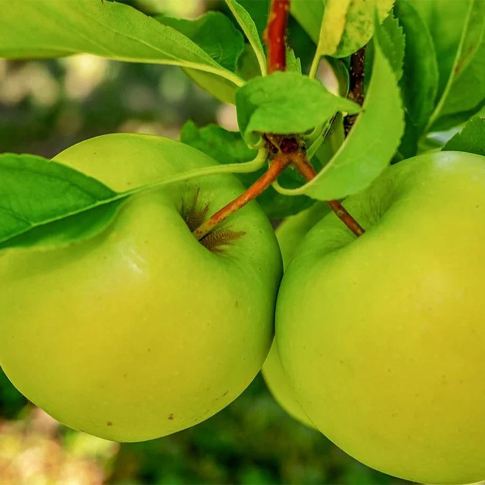 1722403141 thumbnail