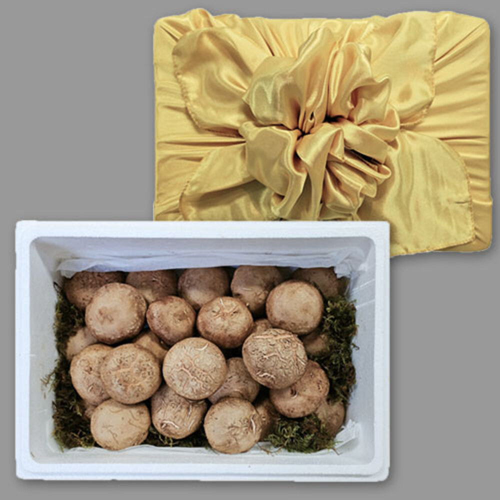 1722570651 thumbnail