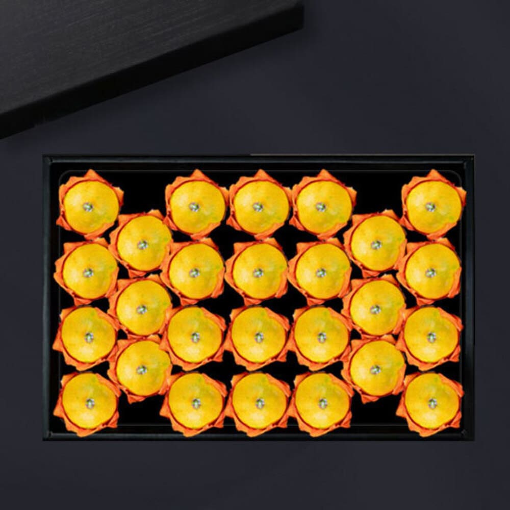 1722920269 thumbnail