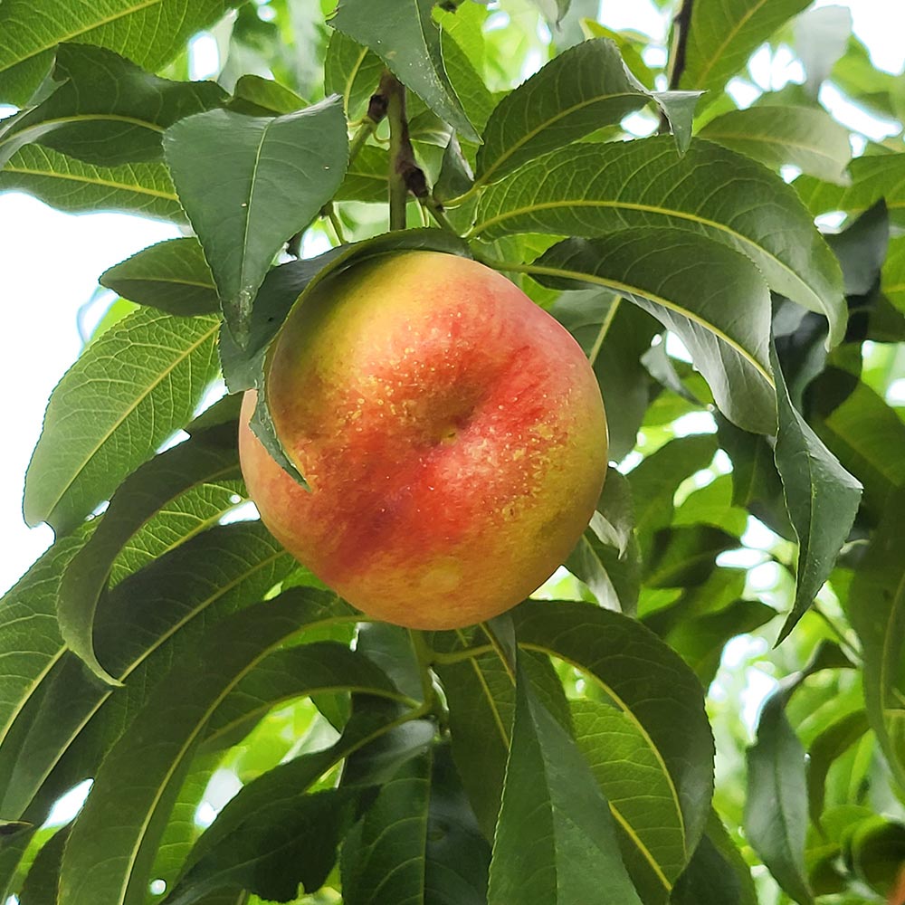 1722996813 thumbnail