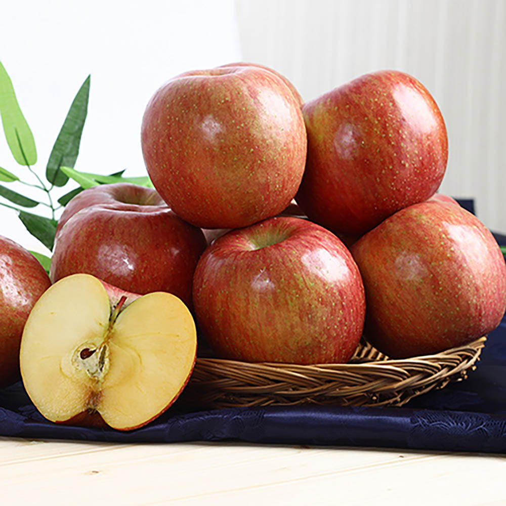 1723085841 thumbnail