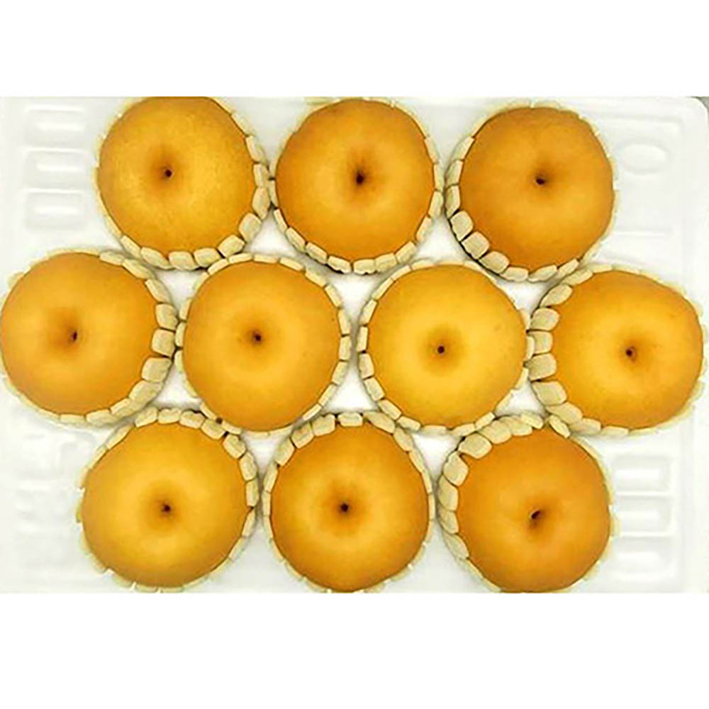 1723085845 thumbnail