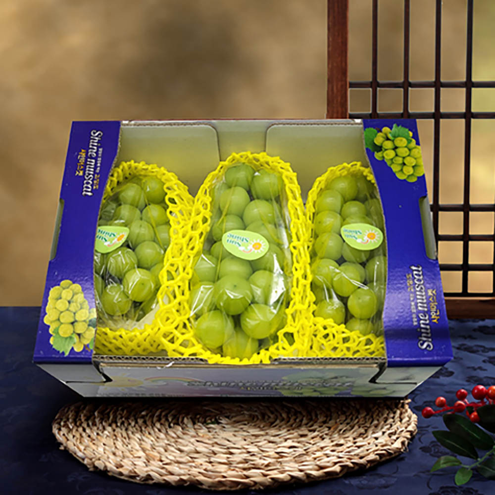 1723085847 thumbnail