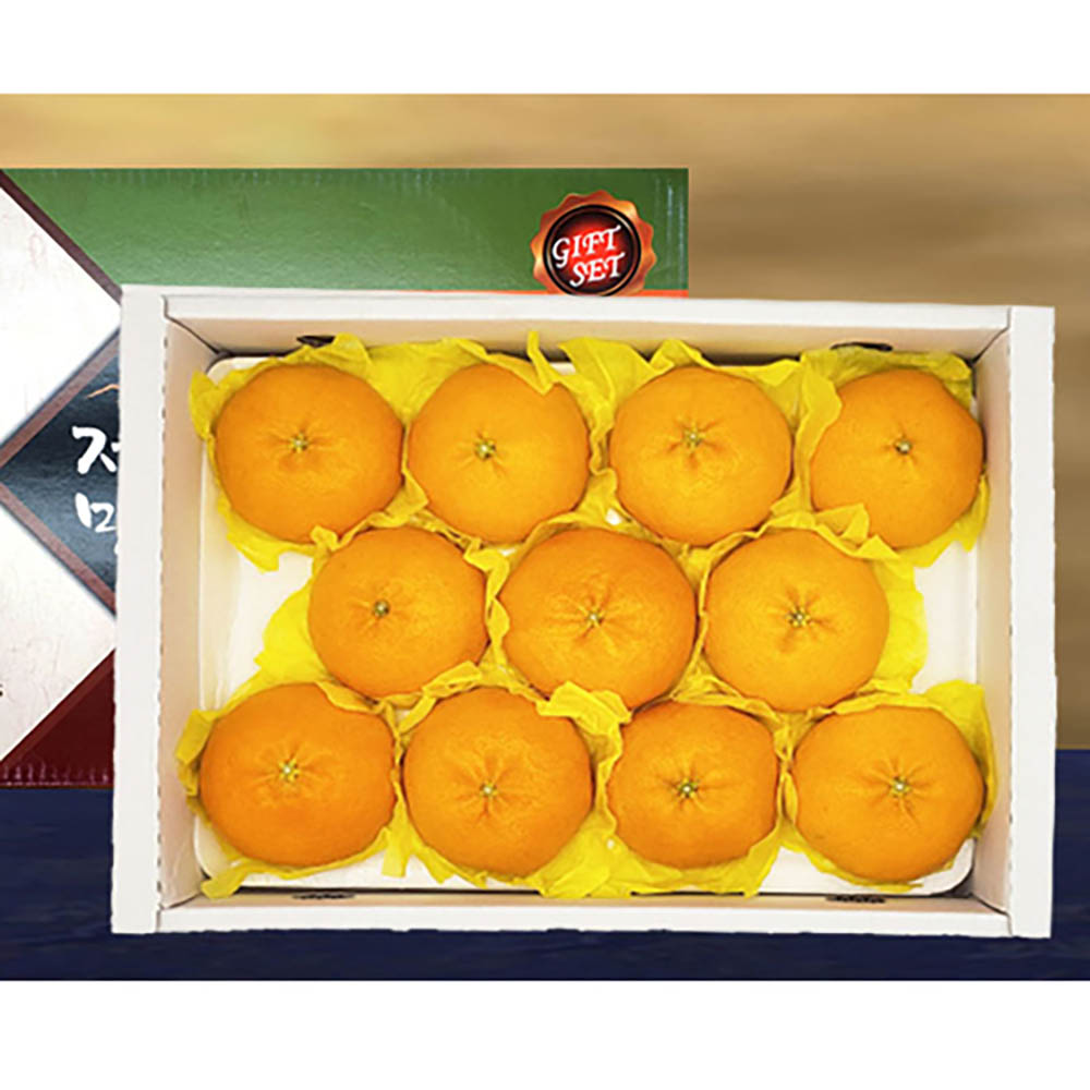 1723085848 thumbnail