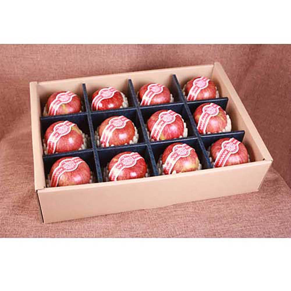 1723085881 thumbnail