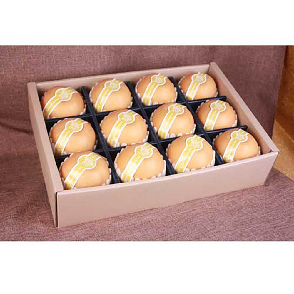 1723085882 thumbnail