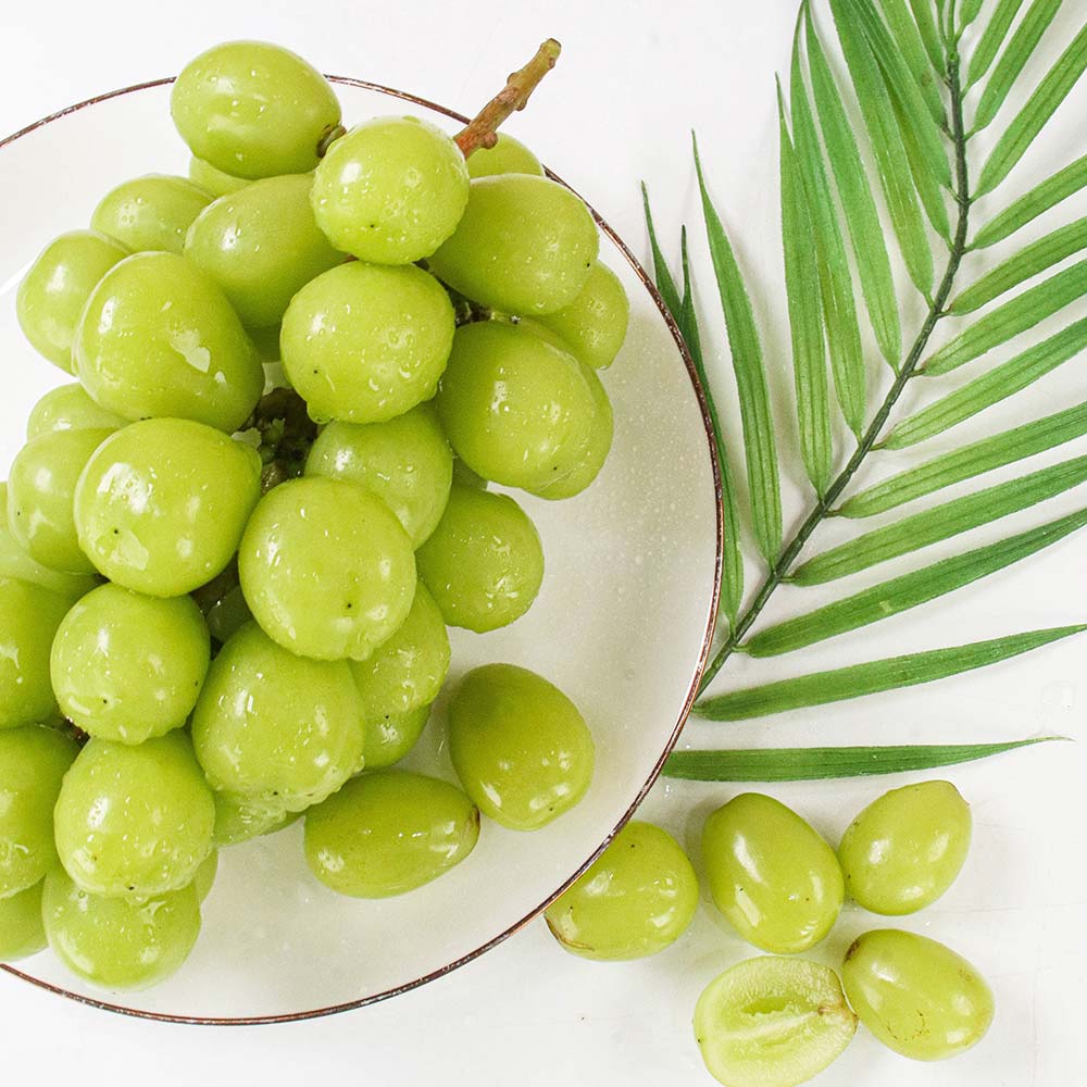 1723093620 thumbnail