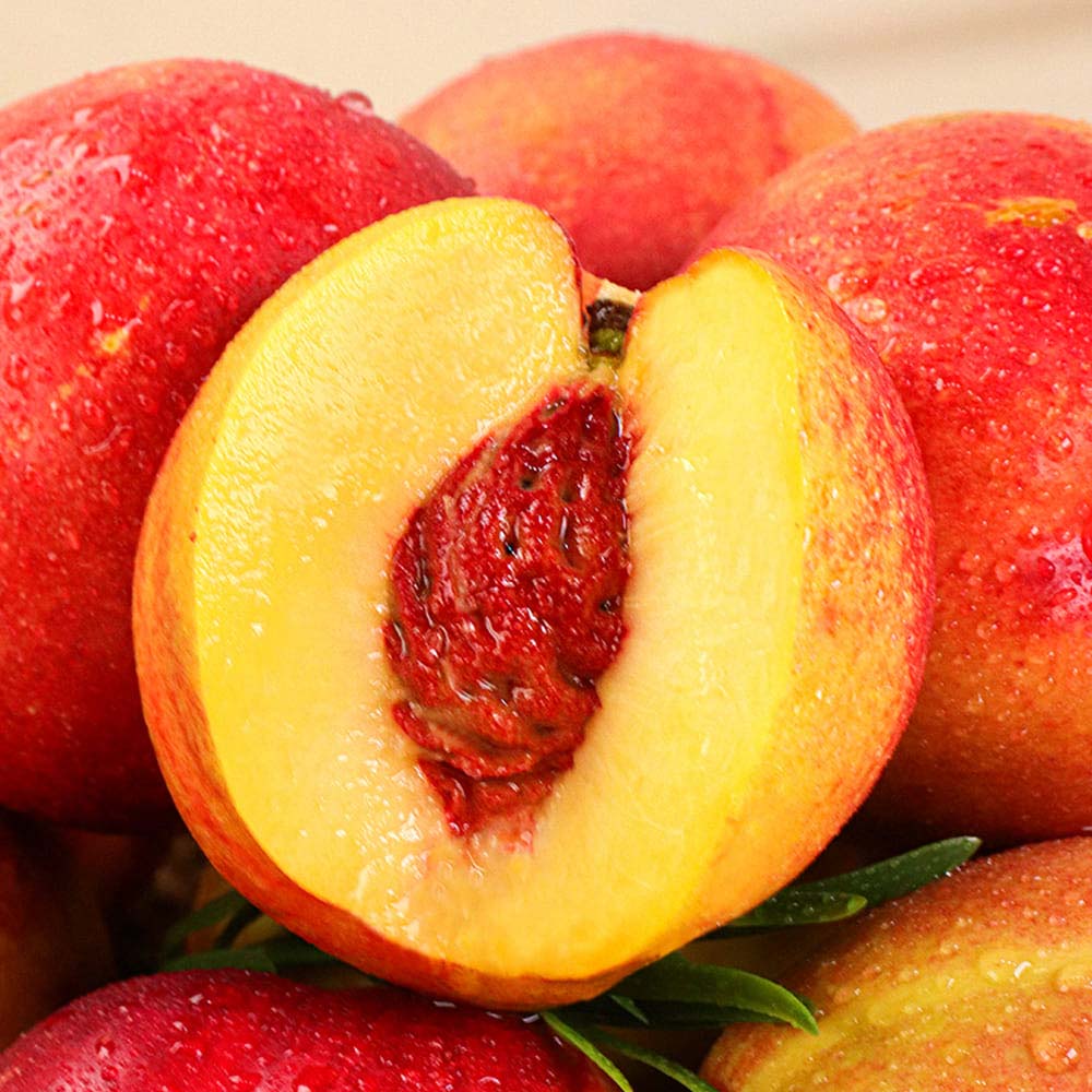 1723093621 thumbnail