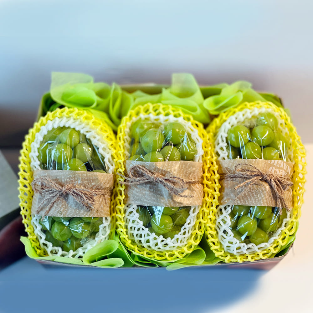 1723095856 thumbnail