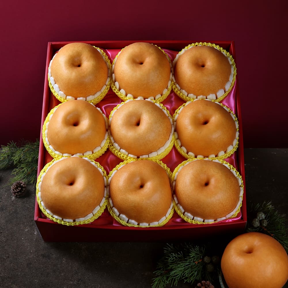 1723095860 thumbnail