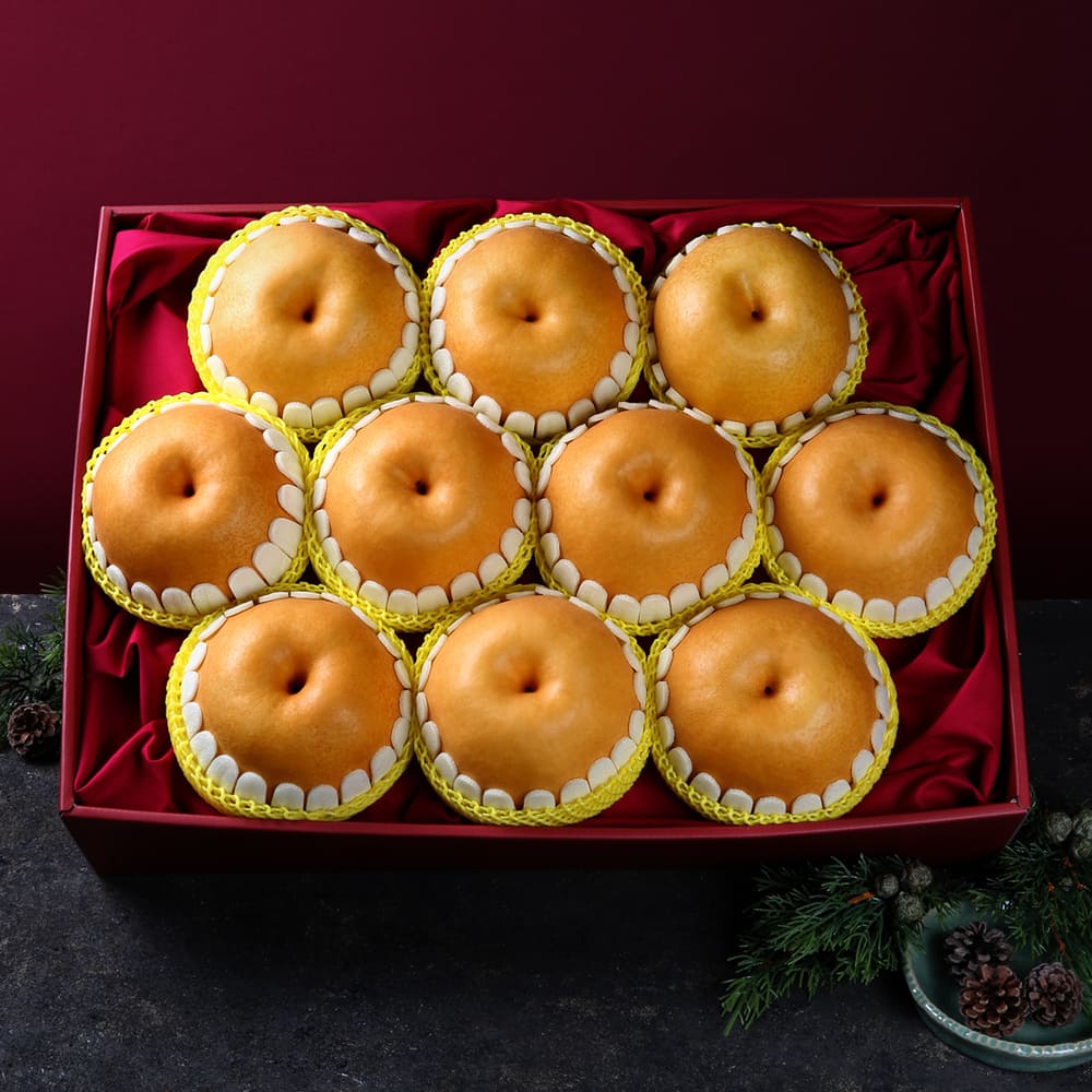 1723095870 thumbnail