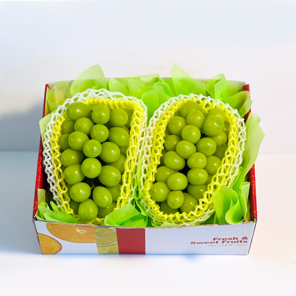 1723095873 thumbnail