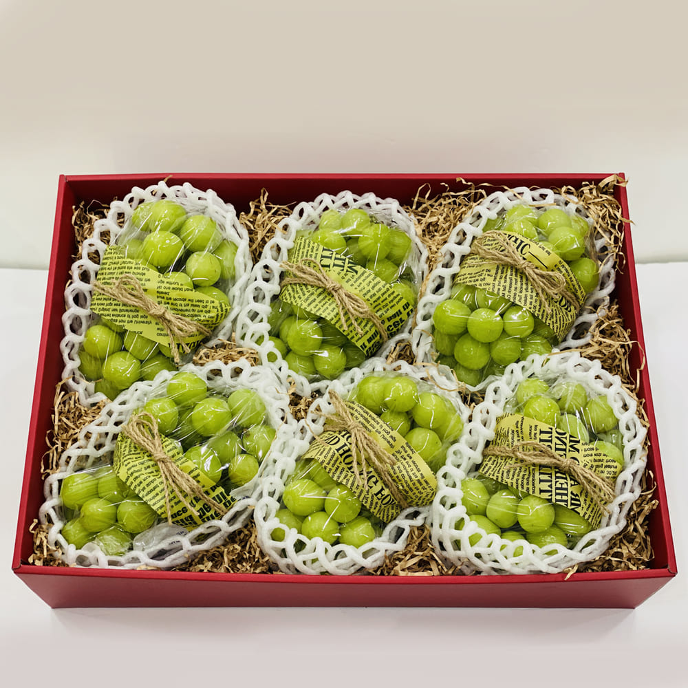 1723095875 thumbnail