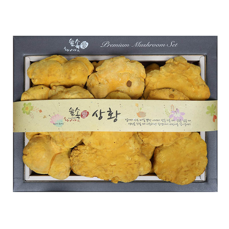 1723424067 thumbnail