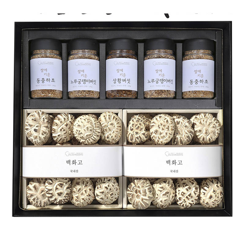 1723424075 thumbnail