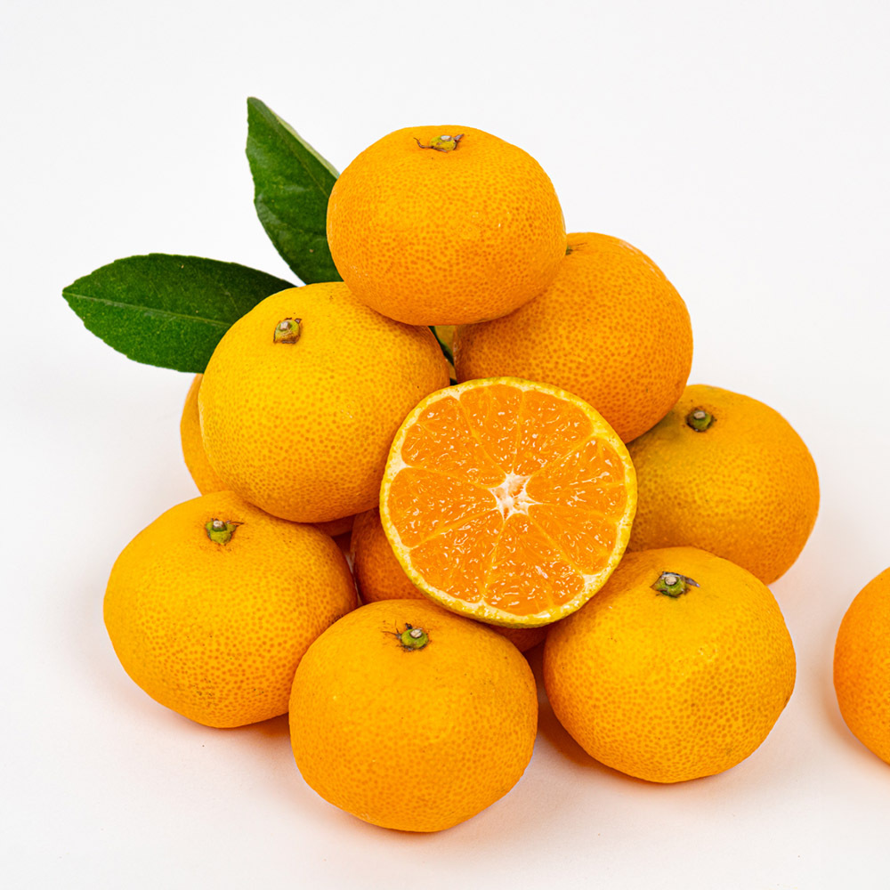 1723439691 thumbnail