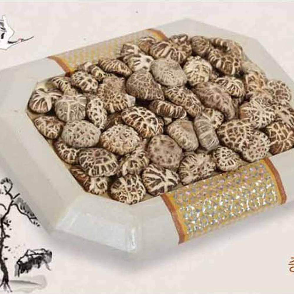 1723509029 thumbnail